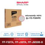 FZ-F30HFE